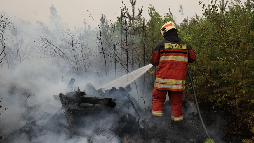 Пожары в Рязанской области планируют потушить в срок от одной до двух недель