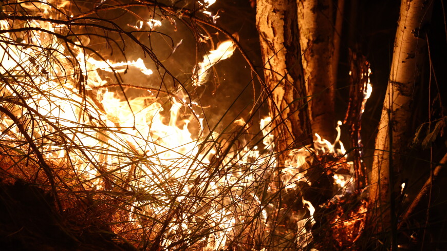 Пять лесных пожаров локализованы в Челябинской области