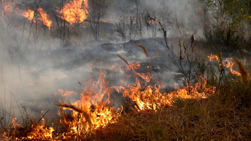 Московские пожарные отстояли рязанскую деревню Ольгино