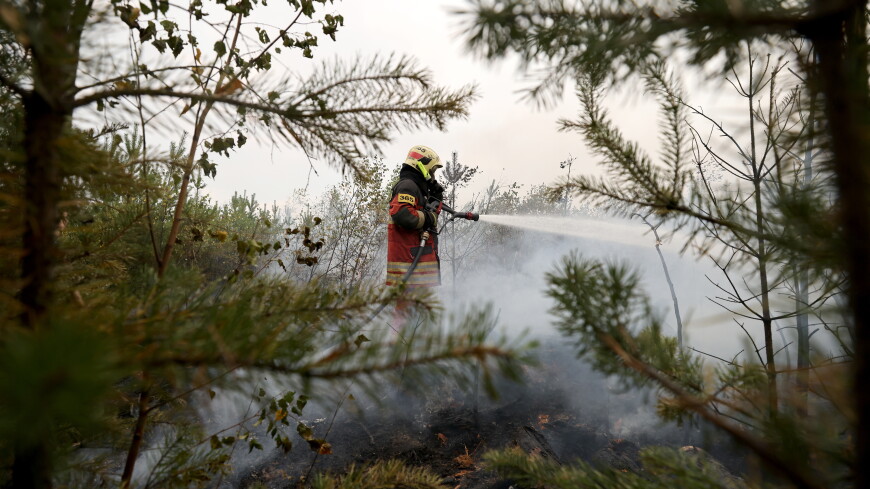 Из-за пожара объявили эвакуацию жителей рязанского поселка Голованово