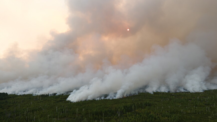 Площадь природных пожаров в России увеличилась почти до 110 тысяч гектаров