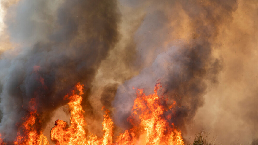 Рязанскую деревню готовят к возможной эвакуации из-за природных пожаров
