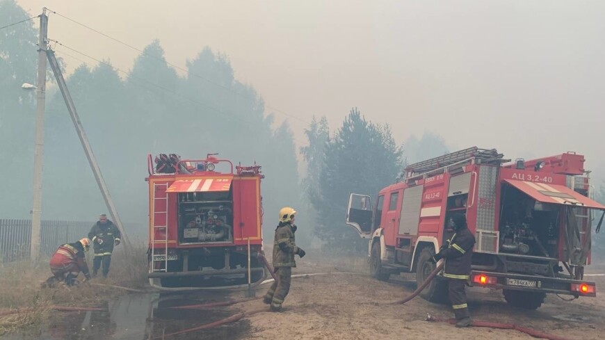 Линию защиты от лесных пожаров длиной в 100 километров создали в Рязанской области