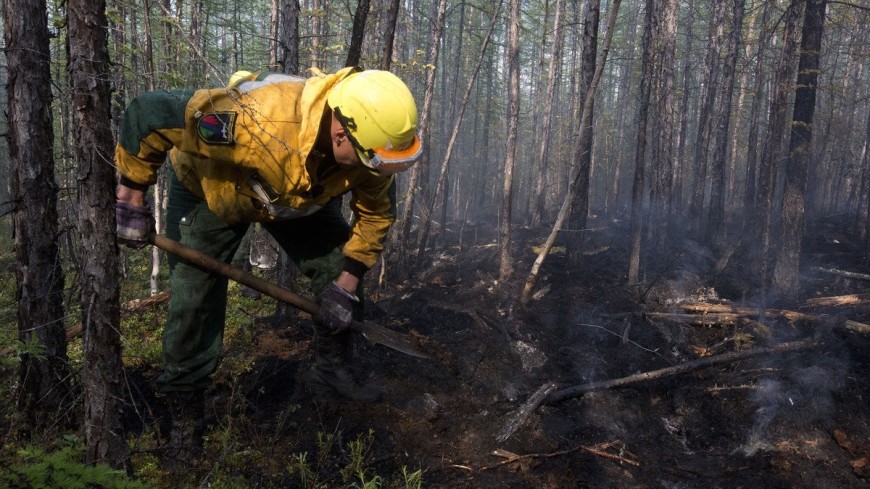 Лесной пожар в нацпарке «Югыд ва» в Коми потушен
