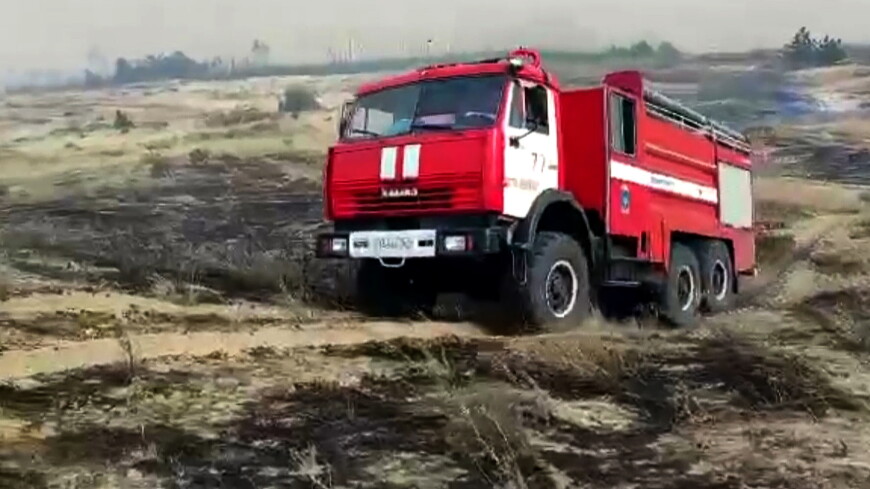 Пожар в Каменском лесничестве Ростовской области потушили