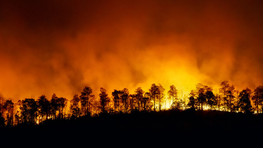 Лесной пожар в американском штате Орегон распространился на 3 400 га
