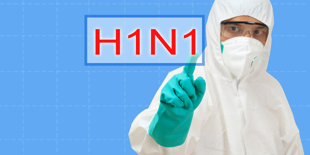 Спин грипп. Профилактика свиного гриппа. Пандемия свиного гриппа h1n1 (2009 -2010). Пандемия свиного гриппа 2009.