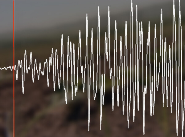 Землетрясение магнитудой 3,8 произошло в Казахстане