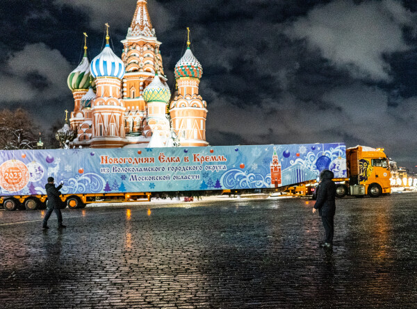 Главную новогоднюю елку России привезли в Кремль. ФОТО