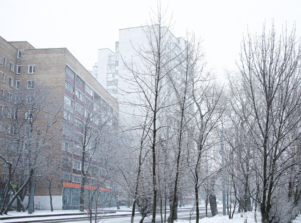 Московскому региону пообещали 20-градусные морозы
