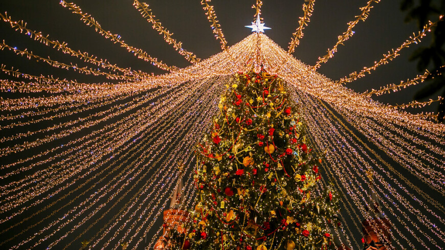 Более тысячи новогодних елей установят в Москве