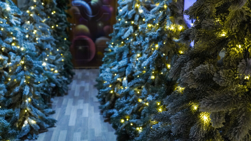 Елочные украшения, елки, гирлянды, Новогоднее оформление, новогодние украшения, новогодний интерьер, новогодние декорации, новогодний декор, Новый год, зима, новогоднее настроение, зимние праздники, новогодняя сказка, Московская резиденция Деда Мороза, усадьба Деда Мороза