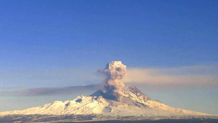 Камчатский вулкан Шивелуч выбросил пепел на высоту 4,5 тыс. м