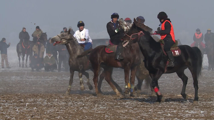 Чемпионат по кок-бору прошел в Кыргызстане: особенности древней игры кочевников