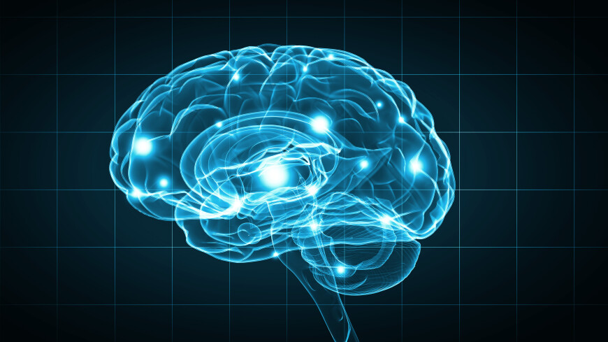Neuralink начнет вживлять чипы в мозг людей уже через полгода