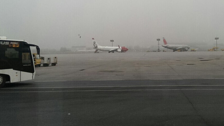 © Фото: Елизавета Шагалова, &quot;«МИР 24»&quot;:http://mir24.tv/, самолет, аэропорт, туман в аэропорту