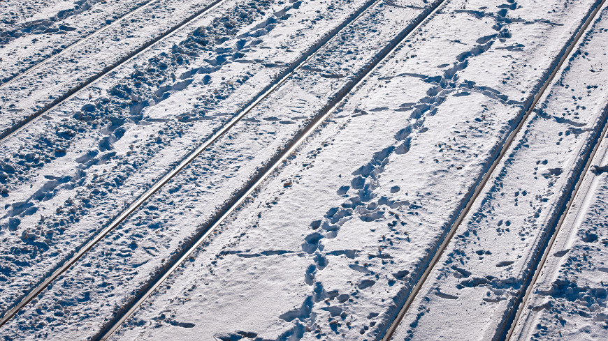 Пешком по сугробам: в Саратове из-за снегопада не ходят трамваи