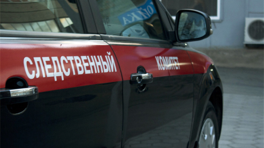 СКР начал проверку по факту гибели трех человек при пожаре в Челябинской области