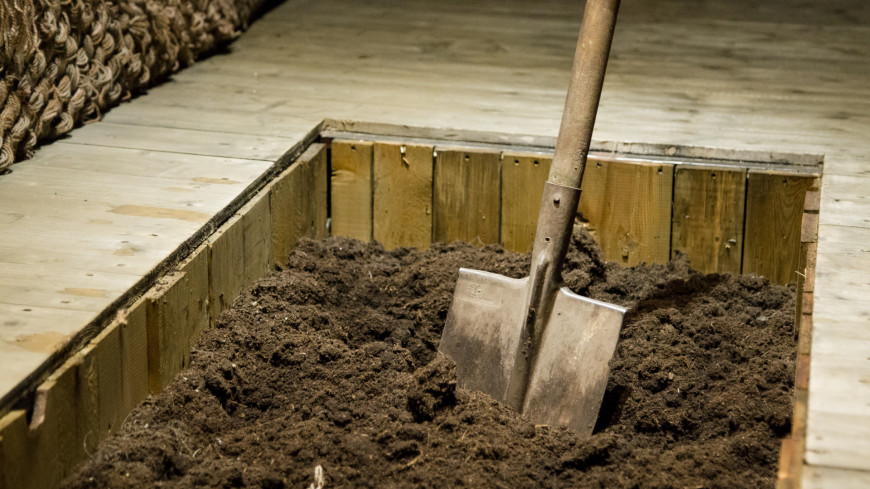 При раскопках в Осло обнаружены кость и палка со скандинавскими и латинскими рунами
