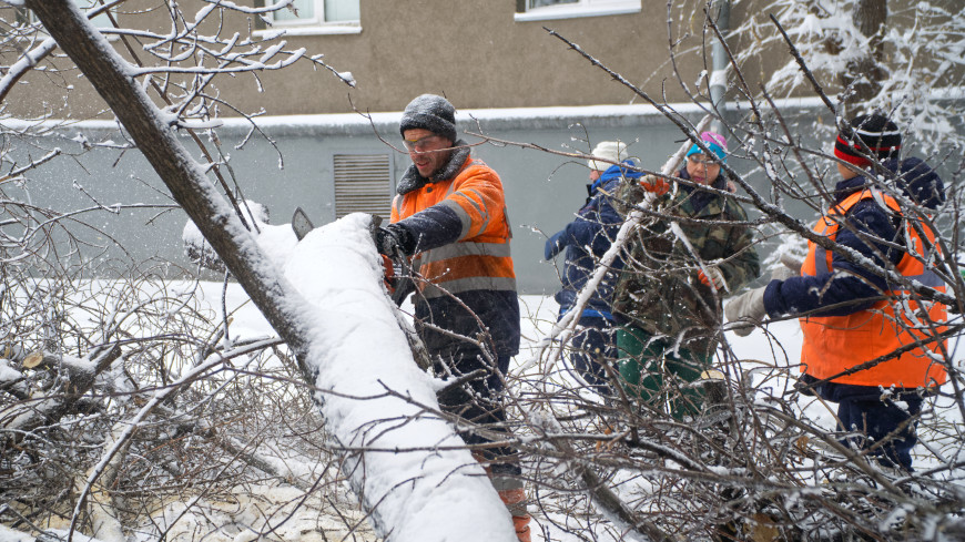 Ураган на Ставрополье: 59 тысяч жителей остались без света