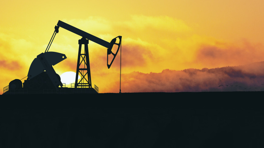 ОПЕК+ продолжит увеличивать добычу нефти на 400 тысяч баррелей в сутки в феврале