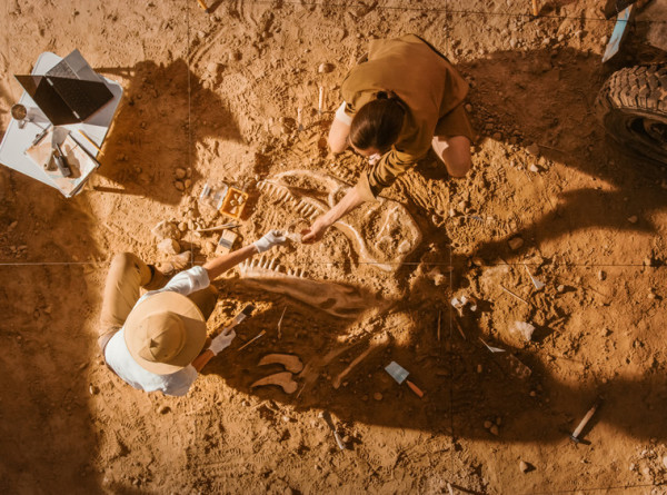 Британские археологи вскроют гробницу, связанную с королем Артуром