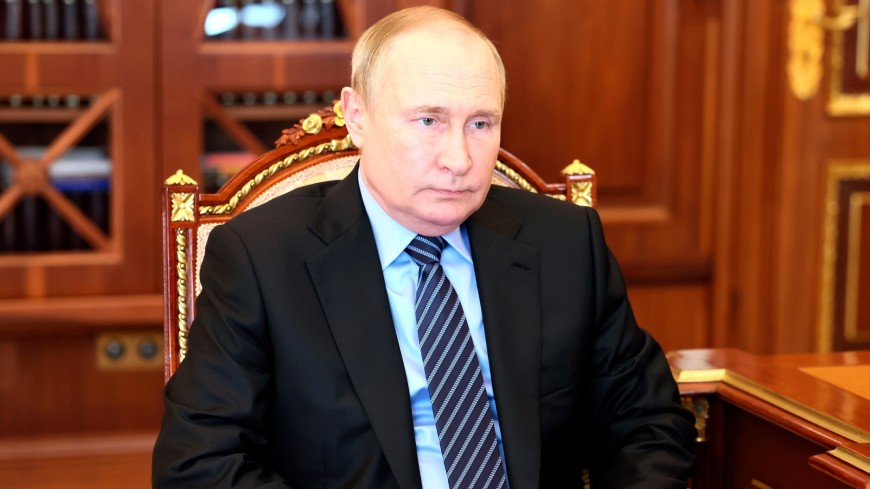 «Глупость, казалось бы, для России»: Путин удивился необходимости импорта корма для животных