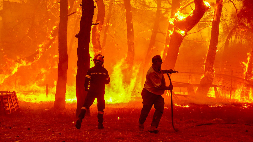 В Греции пламя охватило лесной парк Дадия с редкими хищными птицами