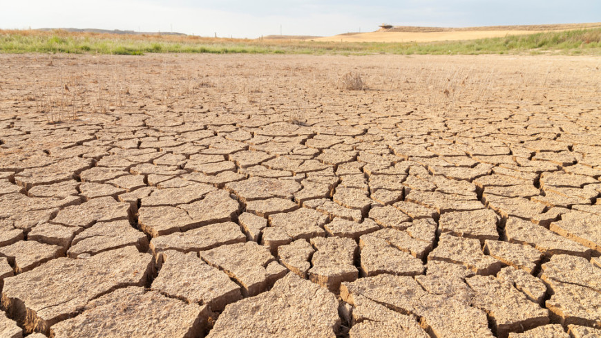 Засуху в Испании и Португалии признали самой сильной за 1200 лет