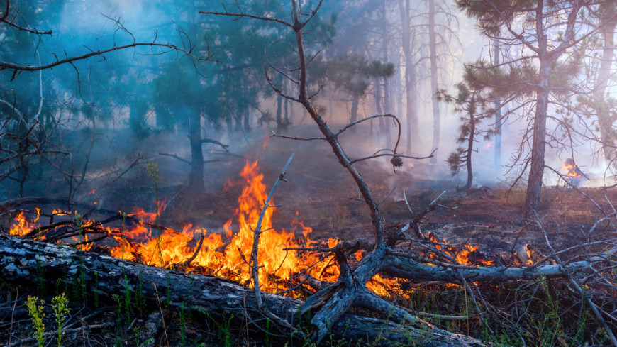 Лесной пожар вблизи якутского села Арылах локализован