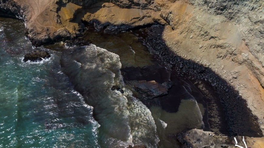 Российские ученые очистят моря от нефти с помощью борщевика