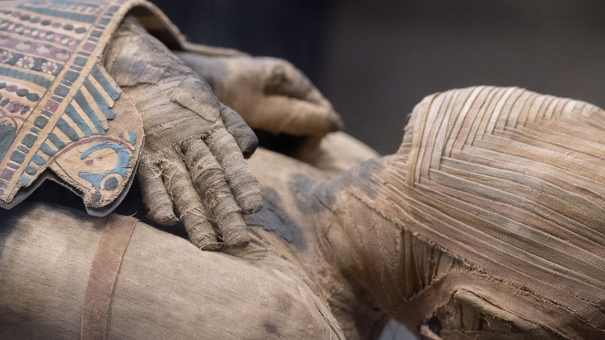 У мумии из Древнего Египта выявили признаки рака