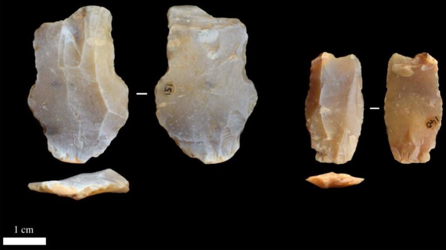 Орудия гейдельбергского человека возрастом 600 тысяч лет нашли в Британии