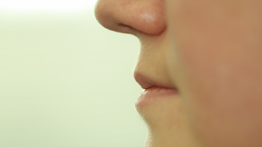 губы, щеки, нос, лицо, подбородок, профиль, голова, рот, язык, 