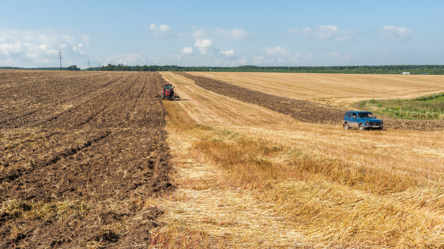 Государственные земли без аукциона смогут арендовать фермеры из России