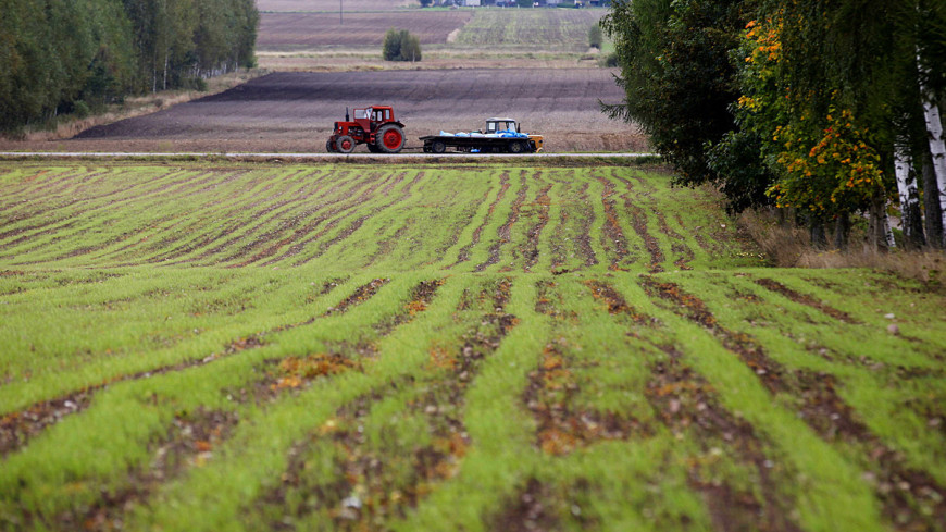 &quot;Фото: Владимир Свояченко (МТРК «Мир»)&quot;:http://mir24.tv/, сельское хозяйство, трактор, поле, луга, совхоз