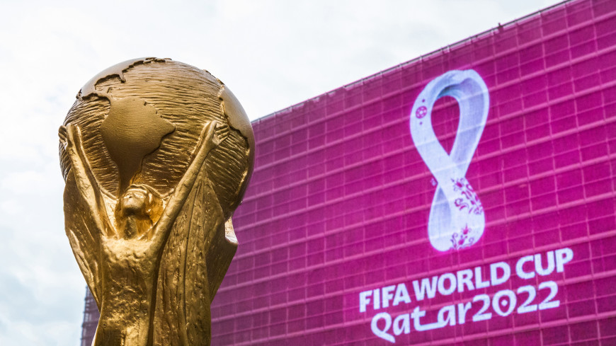 Футбольным болельщикам пригрозили тюрьмой за случайный секс на ЧМ-2022 в Катаре