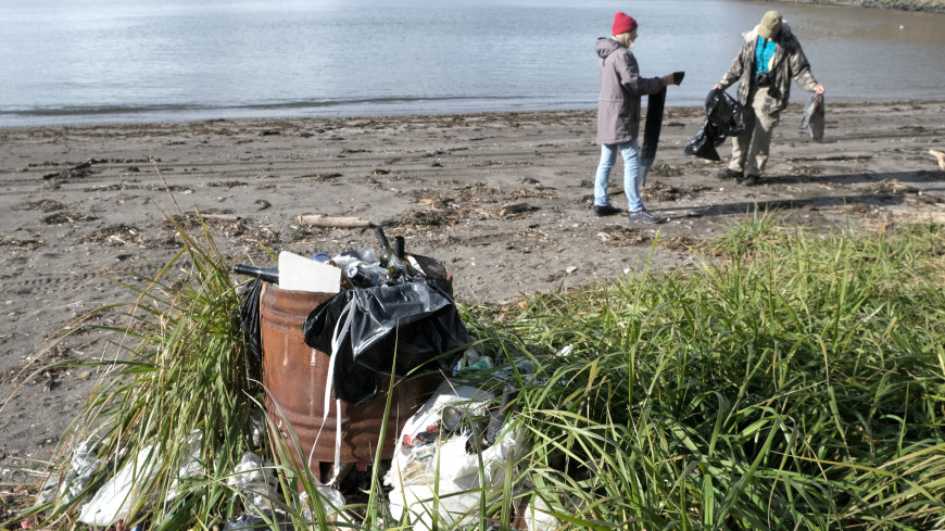 Волонтеры собрали три тонны мусора на берегу Новосибирского водохранилища