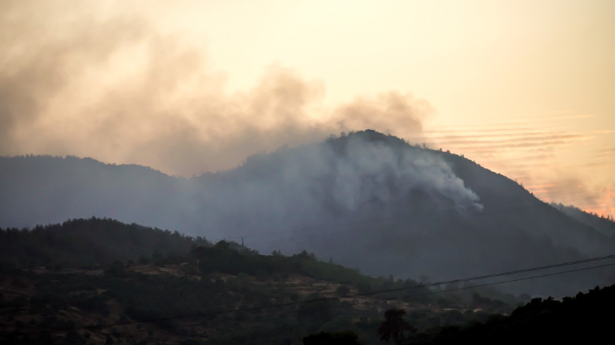 В тушении лесного пожара в Турции задействуют самолет МЧС Азербайджана