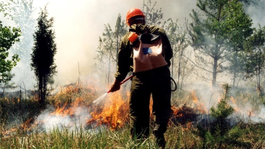 В России горят леса на площади более трех тысяч гектаров