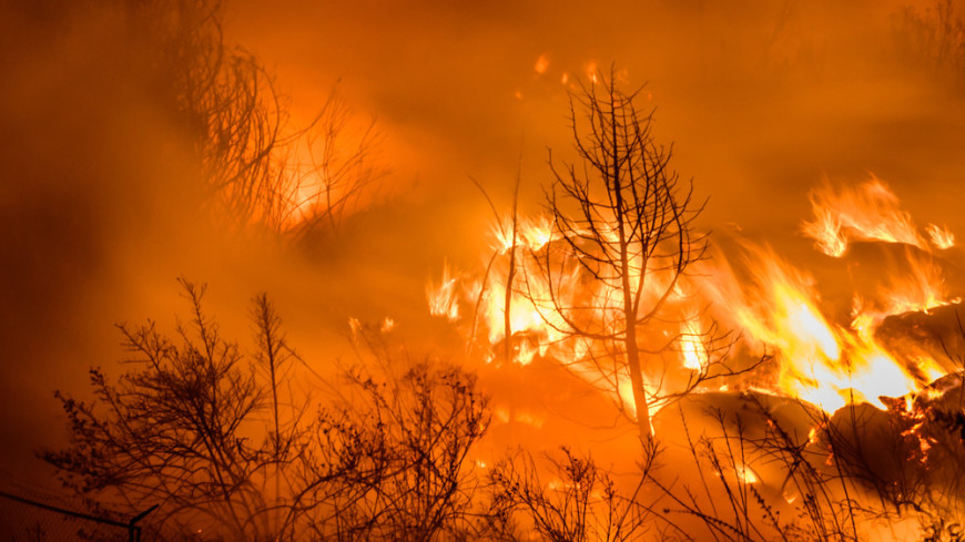Лесные пожары бушуют в Европе: пламенем охвачены сотни гектаров земли