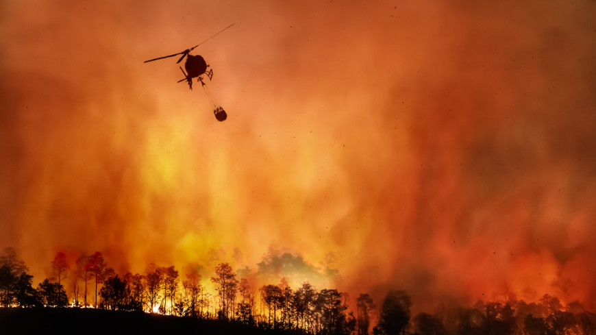 Бундесвер направил дополнительные вертолеты для тушения лесных пожаров на востоке ФРГ