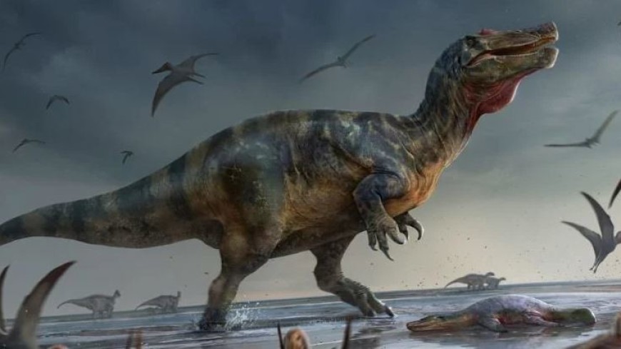 Динозавра с острова Уайт признали крупнейшим сухопутным хищником Европы