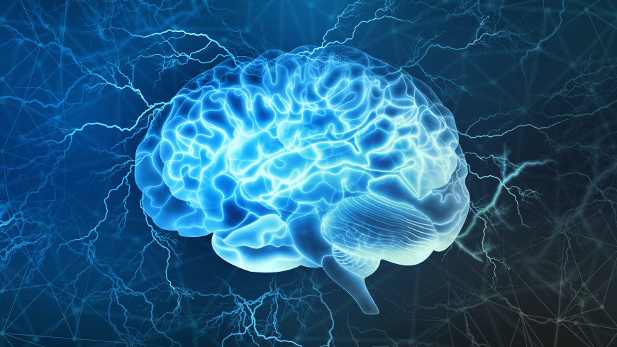 Ученые обнаружили область головного мозга, отвечающую за запоминание лиц