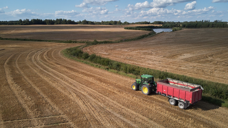 Совбез Молдовы рекомендовал увеличить субсидии фермерам из-за роста цен на сырье