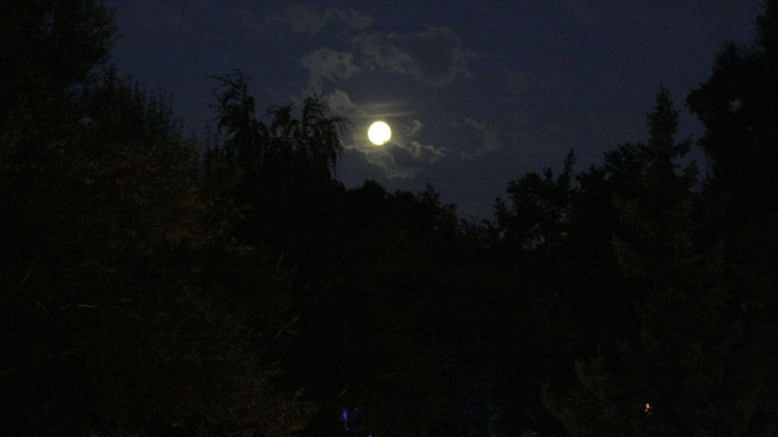 Фото: Елена Андреева &quot;«Мир24»&quot;:http://mir24.tv/, полнолуние, ночь, луна
