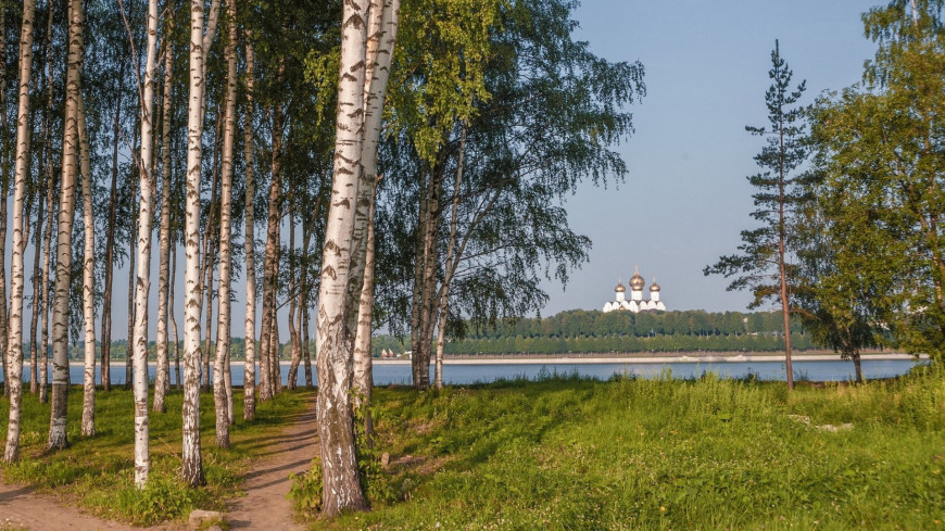 Фото березка во владимире