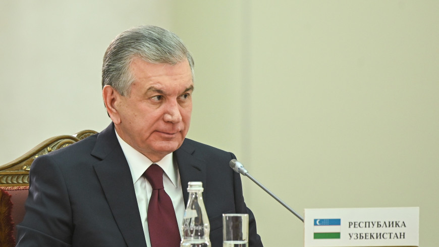 Президент Узбекистана предложил ЕАЭС упростить процедуры для привлечения рабочей силы