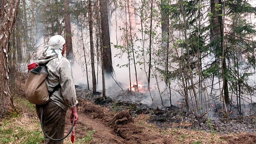 Рослесхоз: Число пожаров в лесах Сибири увеличилось в два раза в 2022 году