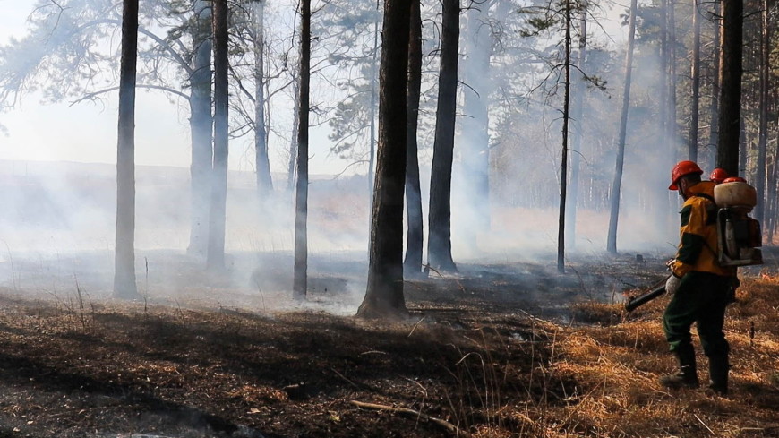 Площадь лесных пожаров в России за сутки уменьшилась на 60%